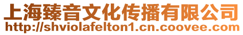 上海臻音文化傳播有限公司