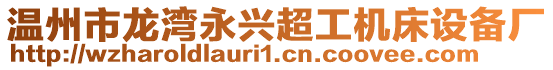 溫州市龍灣永興超工機床設備廠