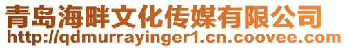 青島海畔文化傳媒有限公司