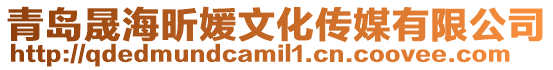 青島晟海昕媛文化傳媒有限公司
