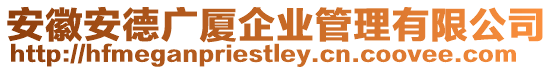 安徽安德廣廈企業(yè)管理有限公司