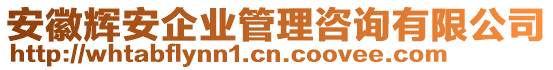 安徽輝安企業(yè)管理咨詢有限公司