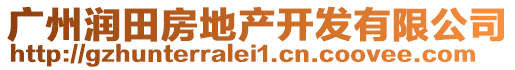 廣州潤田房地產(chǎn)開發(fā)有限公司