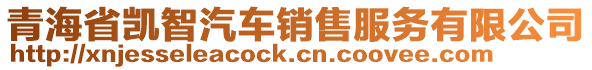 青海省凱智汽車銷售服務(wù)有限公司
