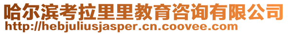 哈爾濱考拉里里教育咨詢有限公司