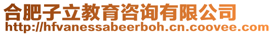 合肥子立教育咨詢有限公司