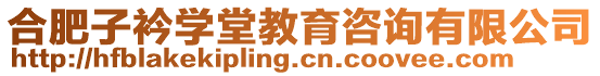 合肥子衿學堂教育咨詢有限公司