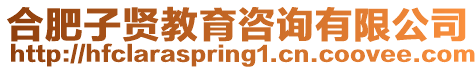 合肥子賢教育咨詢有限公司