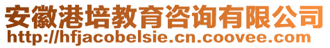 安徽港培教育咨詢有限公司