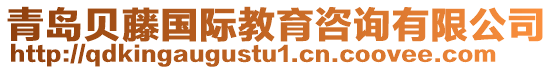 青島貝藤?lài)?guó)際教育咨詢(xún)有限公司