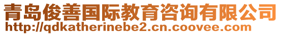 青島俊善國際教育咨詢有限公司