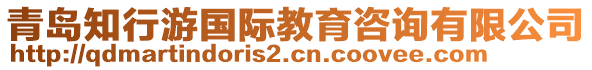 青島知行游國(guó)際教育咨詢有限公司