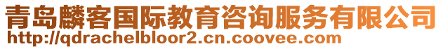 青島麟客國(guó)際教育咨詢服務(wù)有限公司