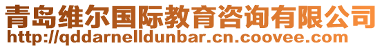 青島維爾國際教育咨詢有限公司