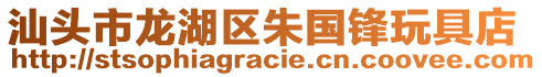 汕頭市龍湖區(qū)朱國鋒玩具店