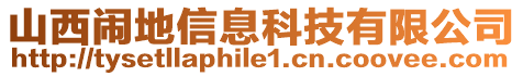 山西鬧地信息科技有限公司