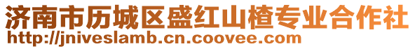 濟南市歷城區盛紅山楂專業合作社