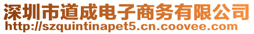 深圳市道成電子商務有限公司