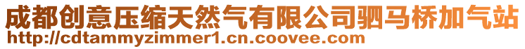 成都創意壓縮天然氣有限公司駟馬橋加氣站