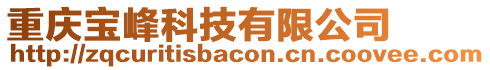 重慶寶峰科技有限公司