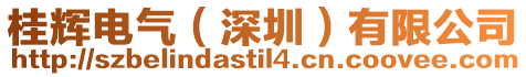 桂輝電氣(深圳)有限公司