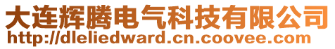 大連輝騰電氣科技有限公司