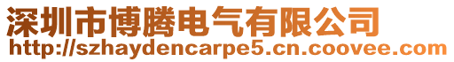 深圳市博騰電氣有限公司