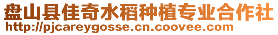 盤山縣佳奇水稻種植專業合作社