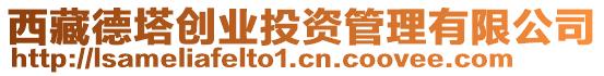西藏德塔創業投資管理有限公司