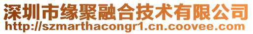 深圳市緣聚融合技術有限公司