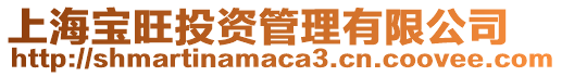 上海寶旺投資管理有限公司