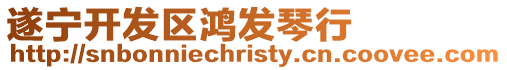 遂寧開發區鴻發琴行