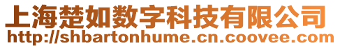 上海楚如數(shù)字科技有限公司