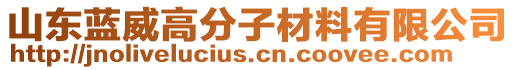 山東藍威高分子材料有限公司