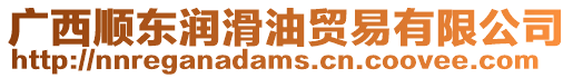 廣西順東潤滑油貿易有限公司