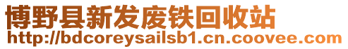 博野縣新發廢鐵回收站