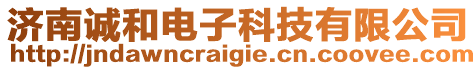 濟(jì)南誠和電子科技有限公司