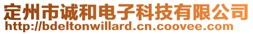 定州市誠和電子科技有限公司