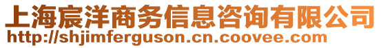 上海宸洋商務(wù)信息咨詢有限公司