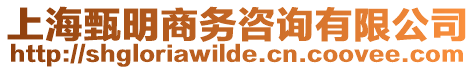 上海甄明商務咨詢有限公司