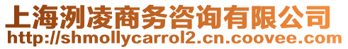 上海洌凌商務(wù)咨詢有限公司