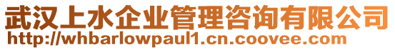 武漢上水企業(yè)管理咨詢有限公司