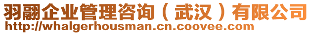 羽翮企業(yè)管理咨詢（武漢）有限公司