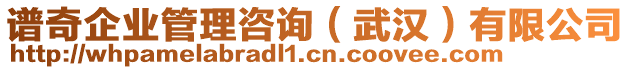 譜奇企業(yè)管理咨詢（武漢）有限公司