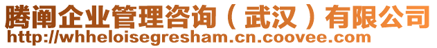 騰闡企業(yè)管理咨詢（武漢）有限公司