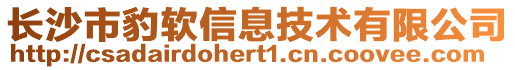 長沙市豹軟信息技術有限公司