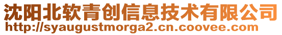 沈陽北軟青創(chuàng)信息技術(shù)有限公司