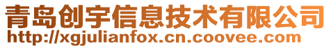 青島創(chuàng)宇信息技術有限公司