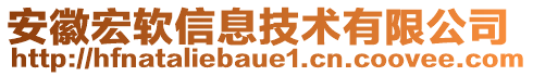 安徽宏軟信息技術(shù)有限公司