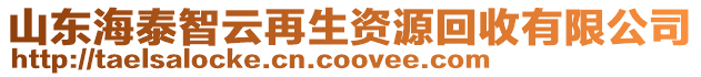 山東海泰智云再生資源回收有限公司